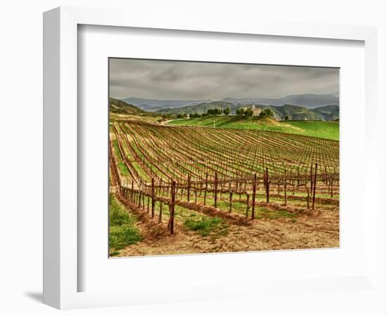 Leoness Cellars, Temecula, California, USA-Richard Duval-Framed Photographic Print