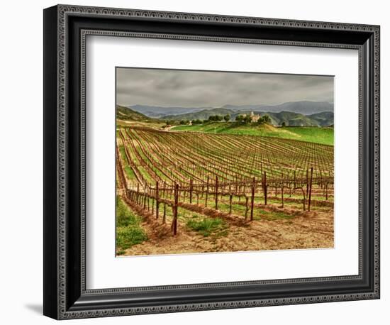 Leoness Cellars, Temecula, California, USA-Richard Duval-Framed Photographic Print