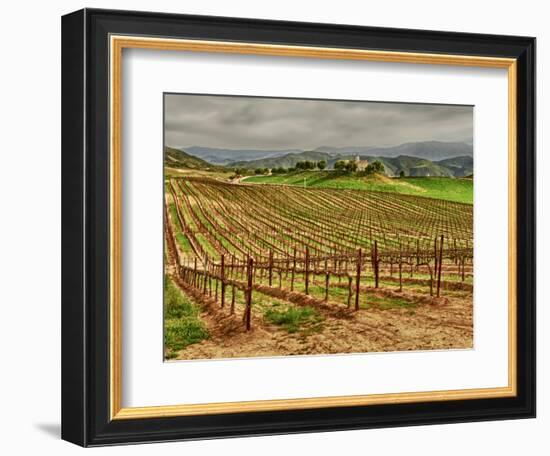 Leoness Cellars, Temecula, California, USA-Richard Duval-Framed Photographic Print