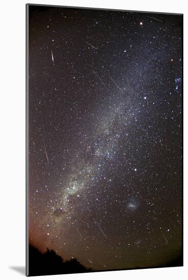 Leonid Meteors-Dr. Fred Espenak-Mounted Photographic Print