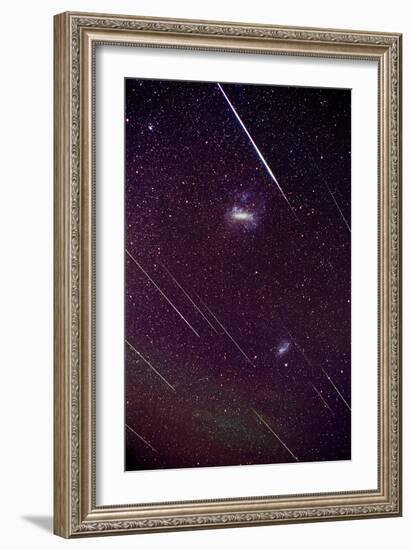 Leonid Meteors-Dr. Fred Espenak-Framed Photographic Print