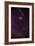 Leonid Meteors-Dr. Fred Espenak-Framed Photographic Print