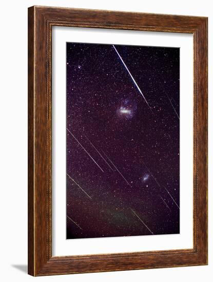 Leonid Meteors-Dr. Fred Espenak-Framed Photographic Print