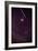 Leonid Meteors-Dr. Fred Espenak-Framed Photographic Print