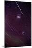 Leonid Meteors-Dr. Fred Espenak-Mounted Photographic Print