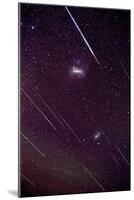 Leonid Meteors-Dr. Fred Espenak-Mounted Photographic Print