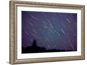 Leonid Meteors-Dr. Fred Espenak-Framed Photographic Print