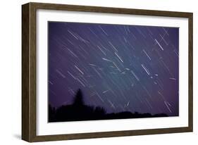 Leonid Meteors-Dr. Fred Espenak-Framed Photographic Print