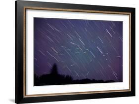 Leonid Meteors-Dr. Fred Espenak-Framed Photographic Print