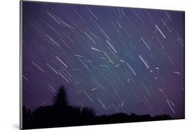 Leonid Meteors-Dr. Fred Espenak-Mounted Photographic Print