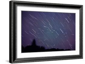 Leonid Meteors-Dr. Fred Espenak-Framed Photographic Print