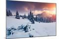 Premium Photographic Print