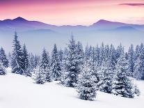 Fantastic Evening Winter Landscape-Leonid Tit-Photographic Print