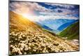 Photographic Print