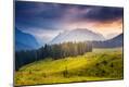 Photographic Print