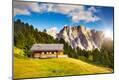Photographic Print