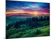 Premium Photographic Print