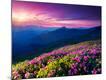 Premium Photographic Print
