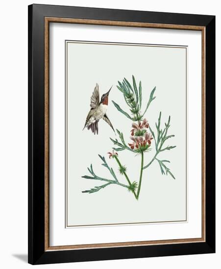 Leonurus Japonicus II-Melissa Wang-Framed Art Print