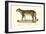 Leopard, 1824-Karl Joseph Brodtmann-Framed Giclee Print