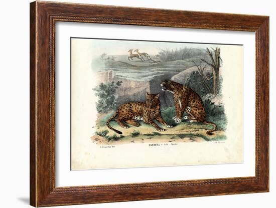 Leopard, 1863-79-Raimundo Petraroja-Framed Giclee Print