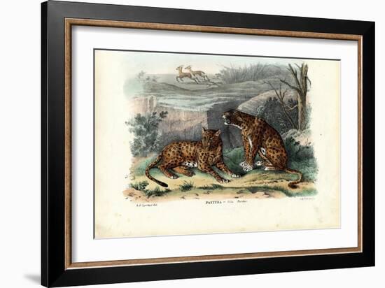 Leopard, 1863-79-Raimundo Petraroja-Framed Giclee Print