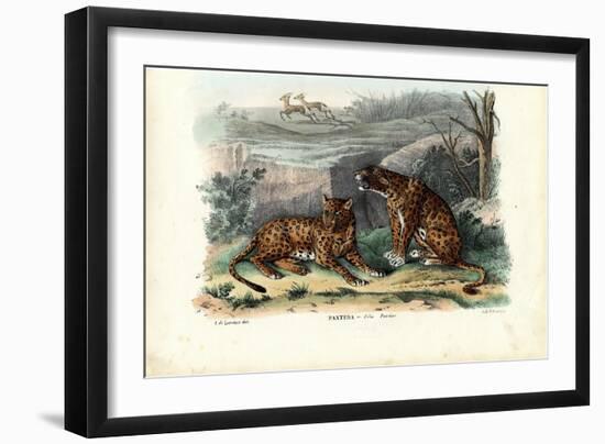 Leopard, 1863-79-Raimundo Petraroja-Framed Giclee Print