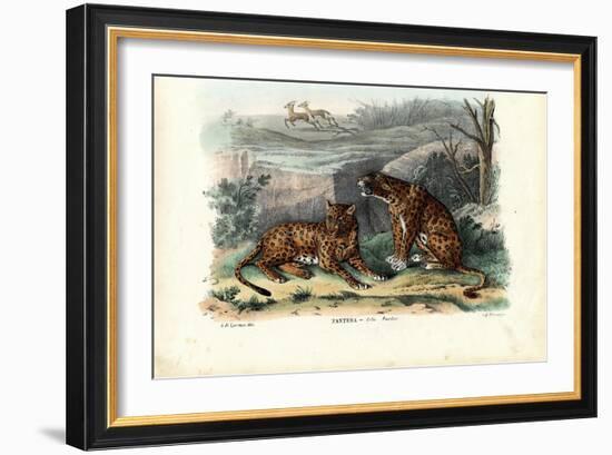 Leopard, 1863-79-Raimundo Petraroja-Framed Giclee Print