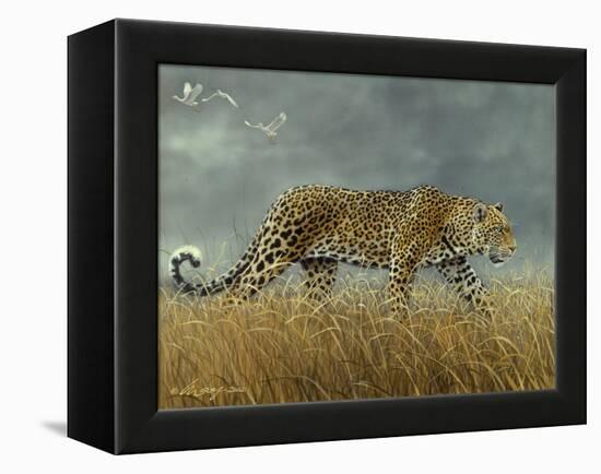 Leopard 2-Harro Maass-Framed Premier Image Canvas