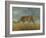 Leopard 2-Harro Maass-Framed Giclee Print