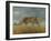 Leopard 2-Harro Maass-Framed Giclee Print