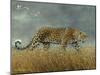 Leopard 2-Harro Maass-Mounted Giclee Print