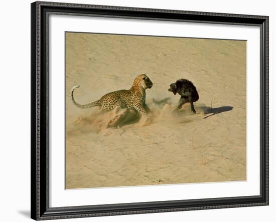 Leopard About to Kill a Terrified Baboon-John Dominis-Framed Photographic Print