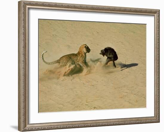 Leopard About to Kill a Terrified Baboon-John Dominis-Framed Photographic Print