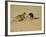 Leopard About to Kill a Terrified Baboon-John Dominis-Framed Photographic Print