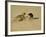 Leopard About to Kill a Terrified Baboon-John Dominis-Framed Photographic Print