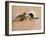 Leopard About to Kill a Terrified Baboon-John Dominis-Framed Photographic Print