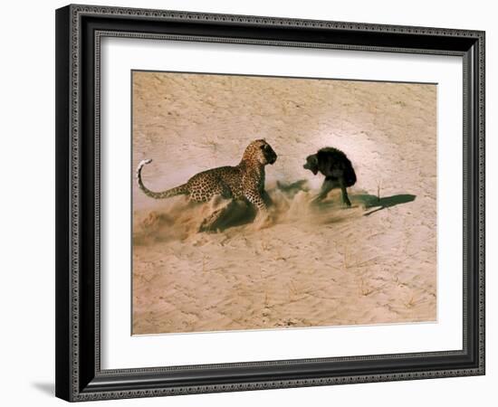 Leopard About to Kill a Terrified Baboon-John Dominis-Framed Photographic Print