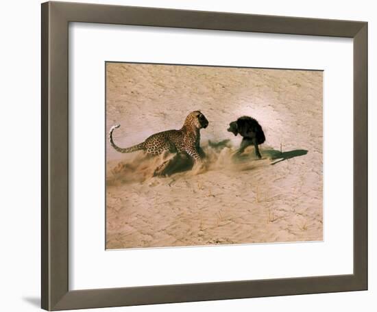 Leopard About to Kill a Terrified Baboon-John Dominis-Framed Photographic Print