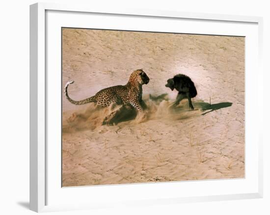 Leopard About to Kill a Terrified Baboon-John Dominis-Framed Photographic Print