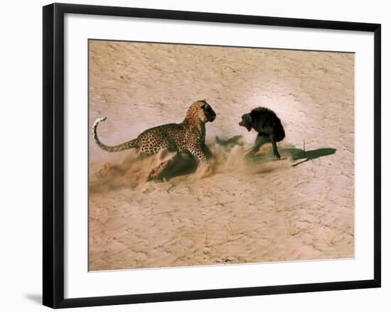 Leopard About to Kill a Terrified Baboon-John Dominis-Framed Photographic Print