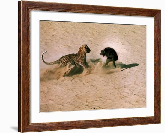 Leopard About to Kill a Terrified Baboon-John Dominis-Framed Photographic Print