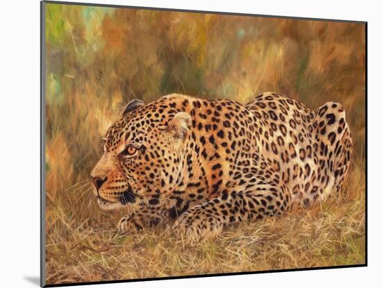 Leopard about to pounce-David Stribbling-Mounted Art Print