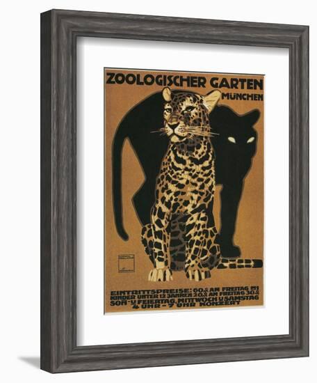 Leopard and Panther, Munich Zoo-null-Framed Art Print