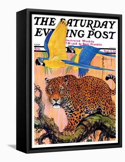 "Leopard and Parrots in Jungle," Saturday Evening Post Cover, September 2, 1933-Paul Bransom-Framed Premier Image Canvas