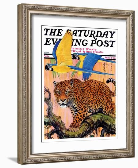 "Leopard and Parrots in Jungle," Saturday Evening Post Cover, September 2, 1933-Paul Bransom-Framed Giclee Print