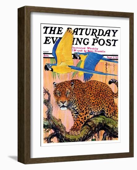 "Leopard and Parrots in Jungle," Saturday Evening Post Cover, September 2, 1933-Paul Bransom-Framed Giclee Print