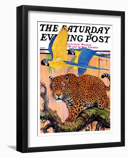 "Leopard and Parrots in Jungle," Saturday Evening Post Cover, September 2, 1933-Paul Bransom-Framed Giclee Print