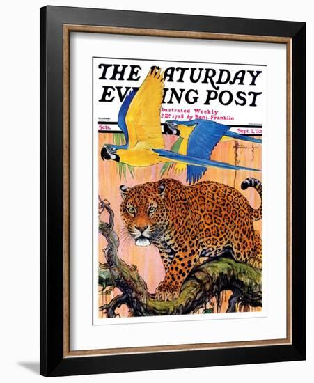 "Leopard and Parrots in Jungle," Saturday Evening Post Cover, September 2, 1933-Paul Bransom-Framed Giclee Print