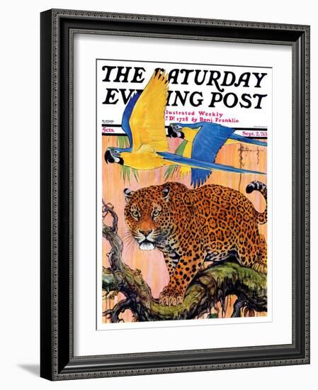 "Leopard and Parrots in Jungle," Saturday Evening Post Cover, September 2, 1933-Paul Bransom-Framed Giclee Print